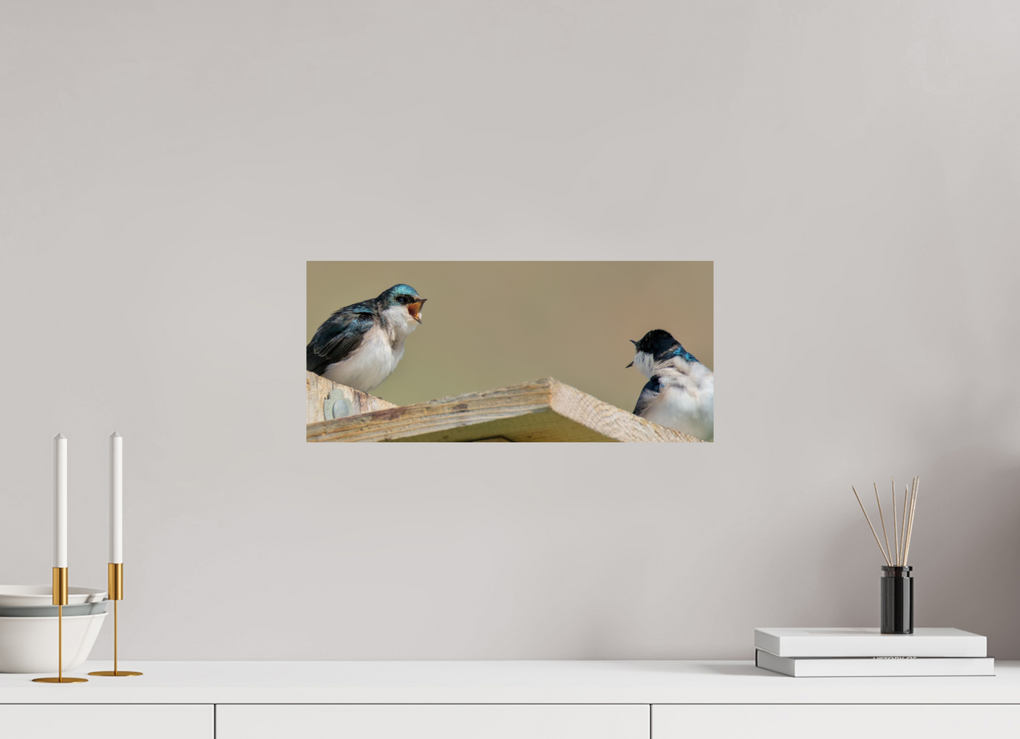 Screaming house sparrows