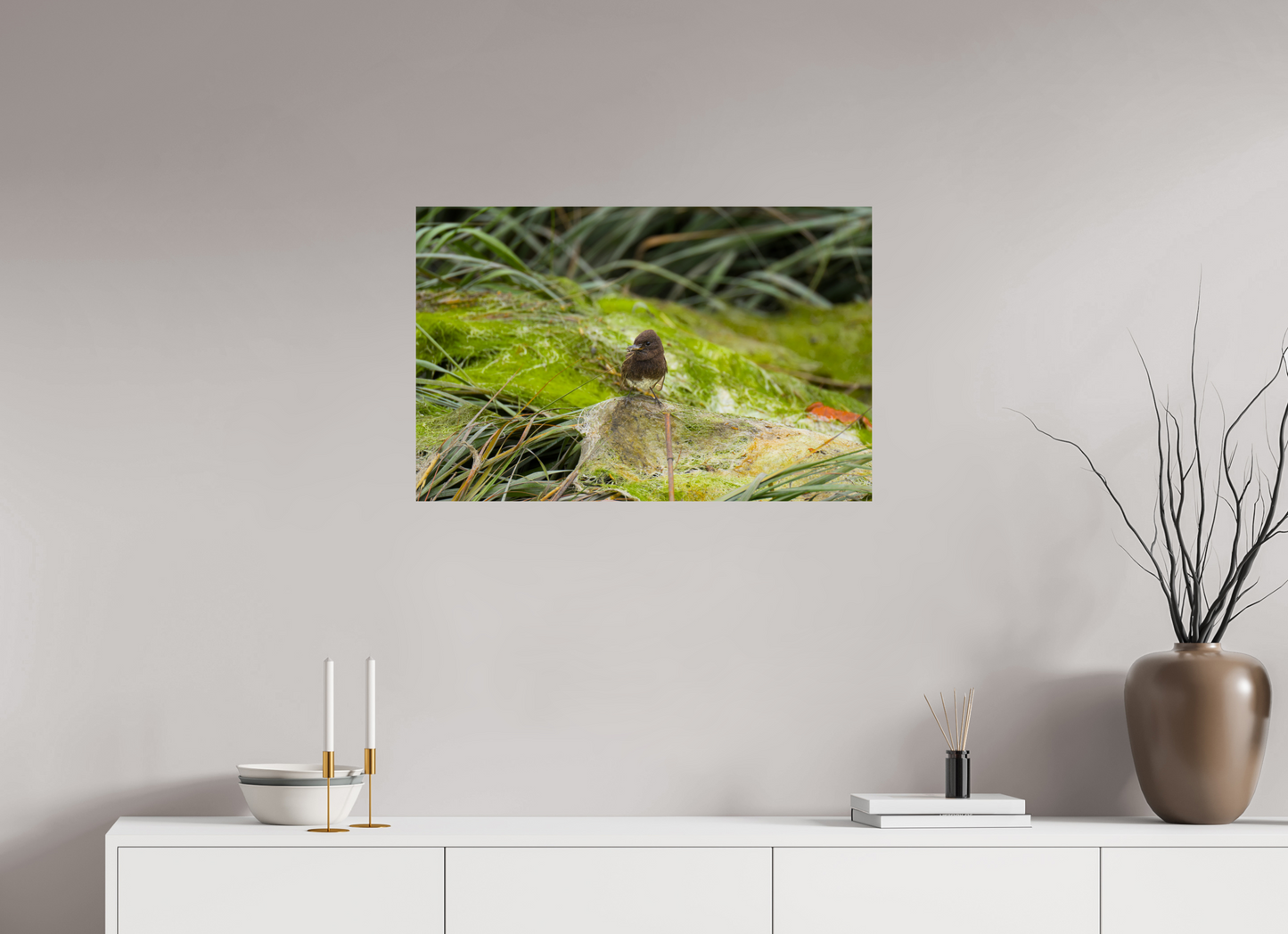 Little brown bird
