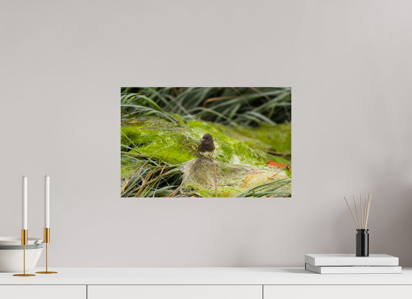 Little brown bird