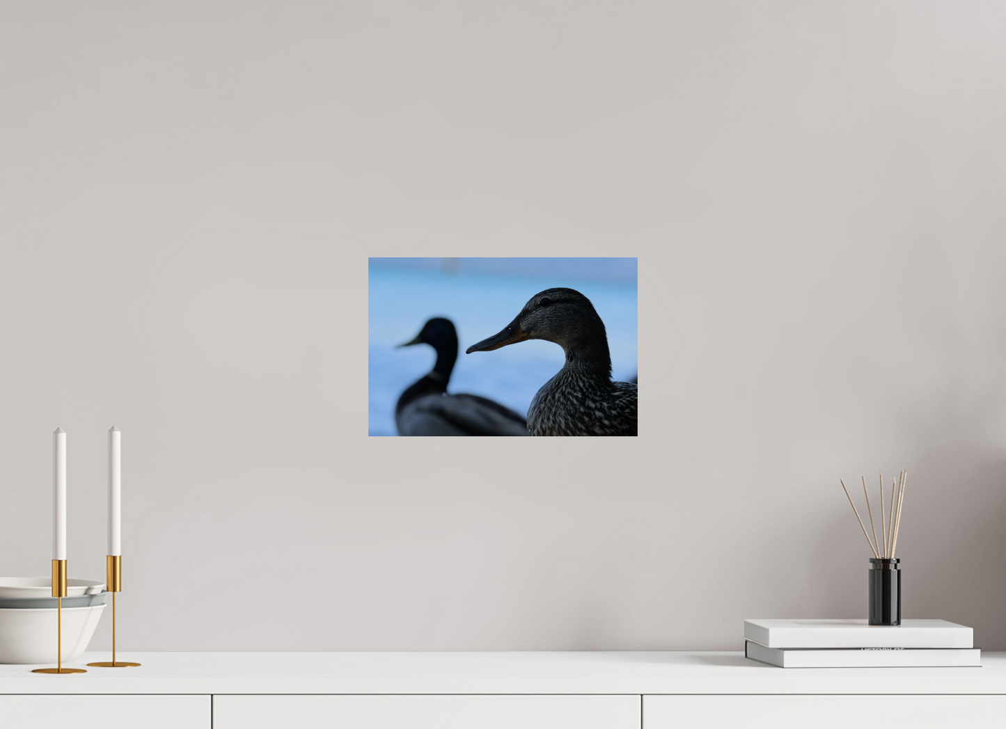nonbird in profile