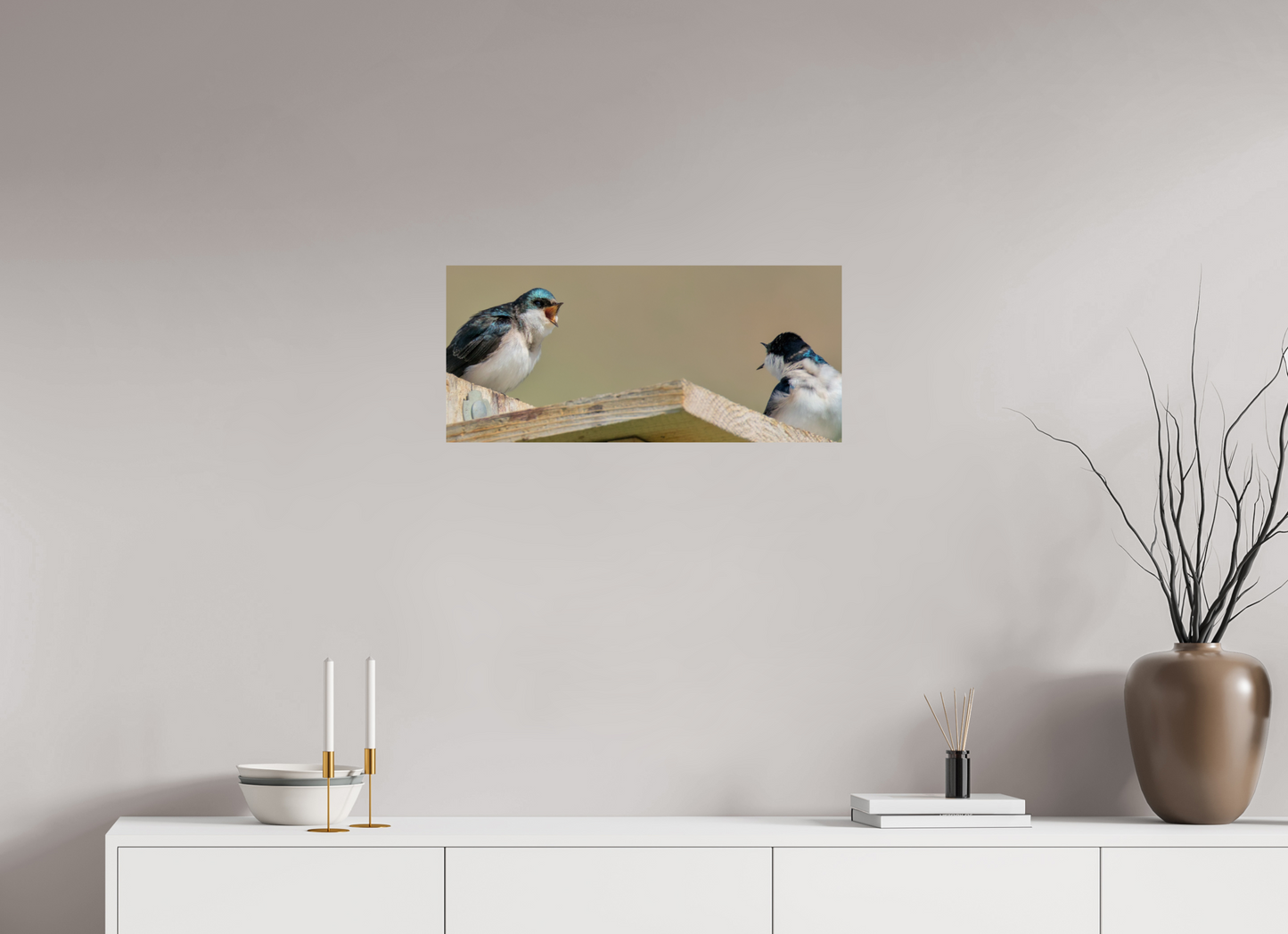 Screaming house sparrows