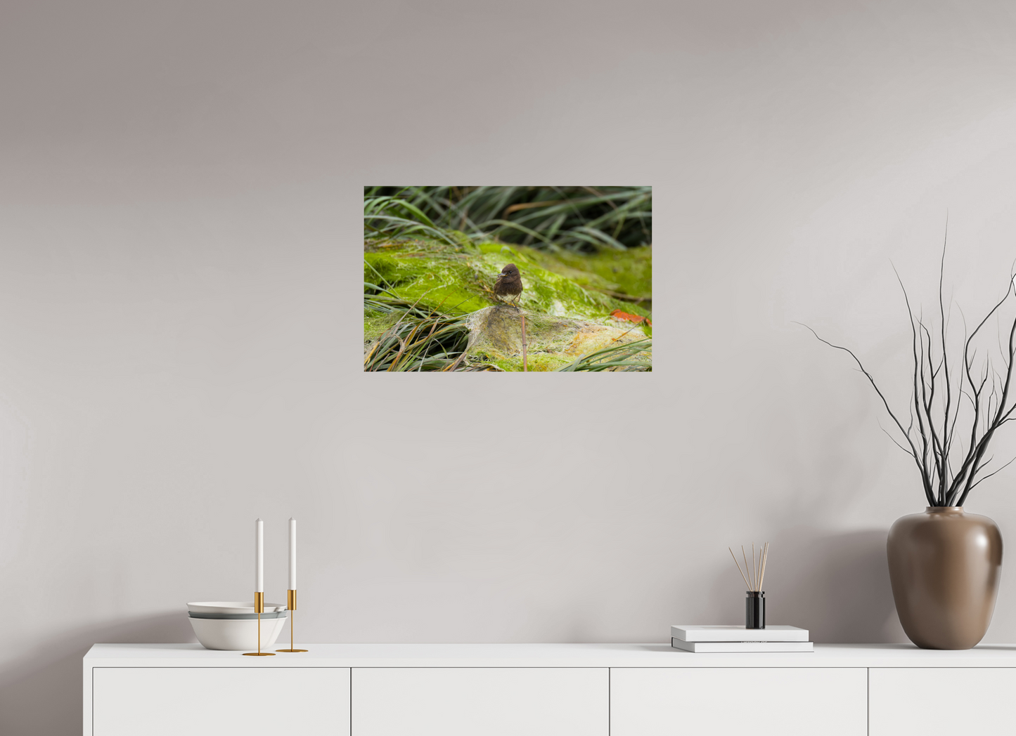 Little brown bird